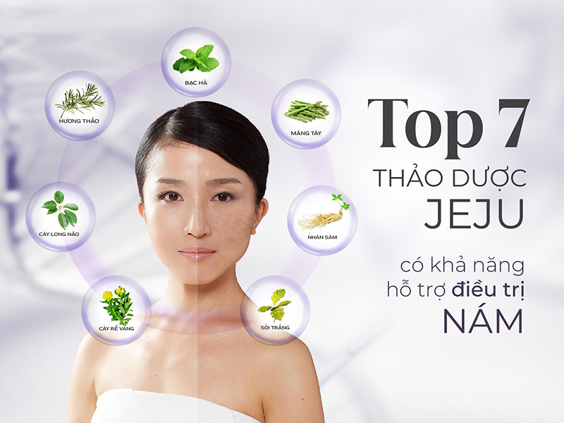 cách điều trị nám bằng thảo dược jeju