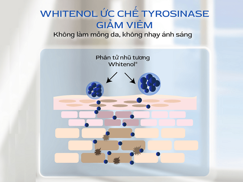 Whitenol®: Làm sáng không thông qua cơ chế gây viêm