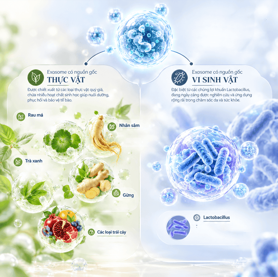 Phân loại các nguồn gốc Exosome ứng dụng trong dược mỹ phẩm hiện nay