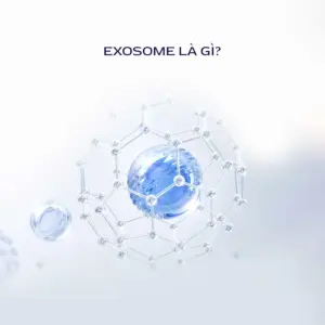 Exosome La Gi
