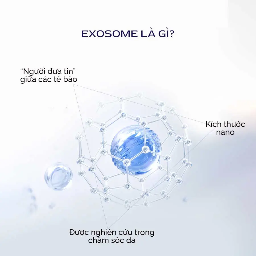 Hoat Chat Exosome La Gi