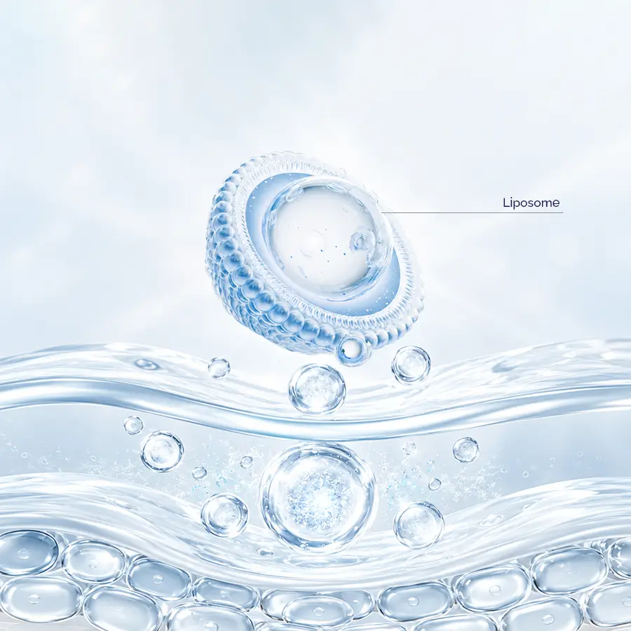 Liposome Tuong Tac Voi Lop Sung