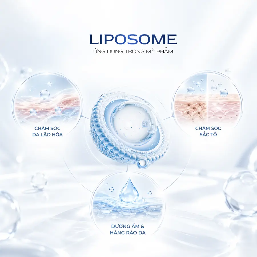 Liposome Ung Dung Trong My Pham