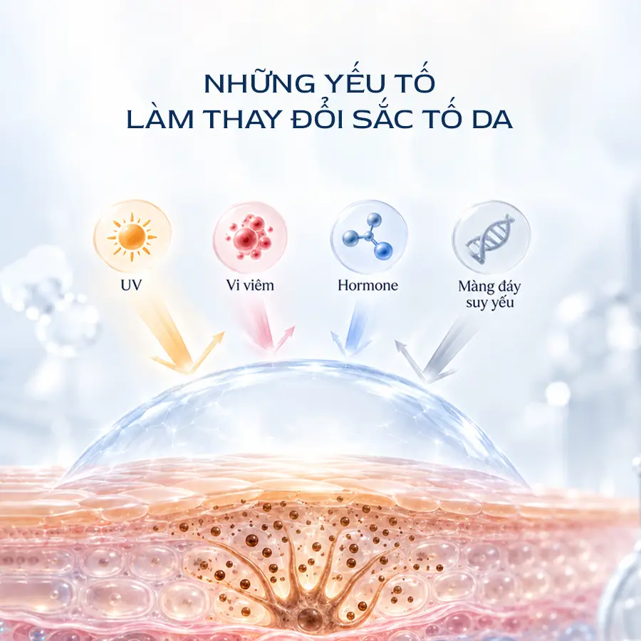 Yeu To Lam Thay Doi Sac To Da
